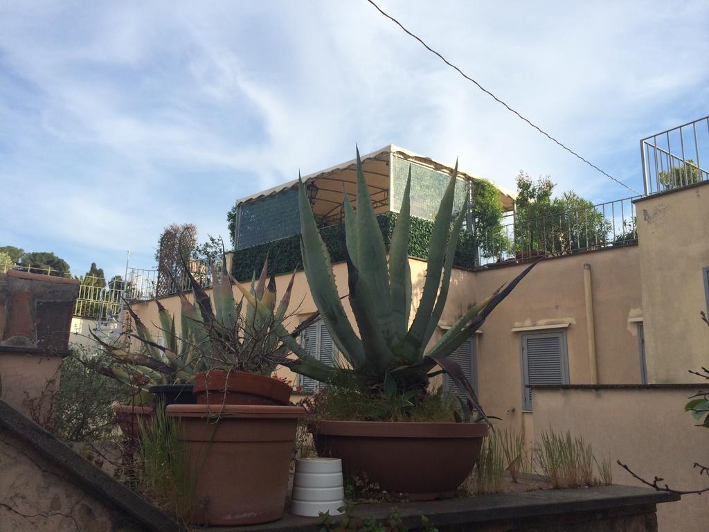 Orange Garden Bed & Breakfast Rom Zimmer foto
